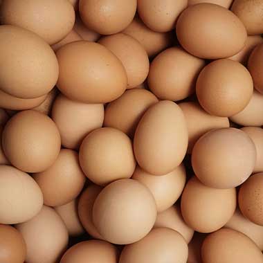 Eggs